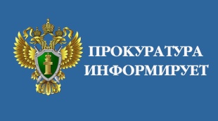 «Членам семей военнослужащих, сотрудников некоторых силовых органов и граждан, пребывающих в добровольческих формированиях предоставлены дополнительные социальные гарантии»..
